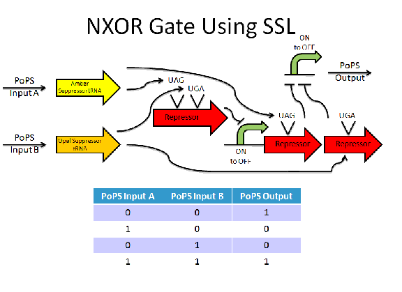 SSL NXOR.GIF