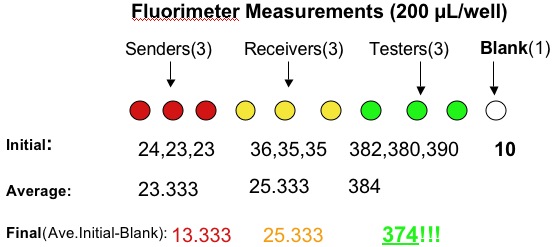 Measurement1.jpg