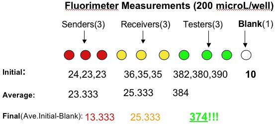 Measurement.jpg