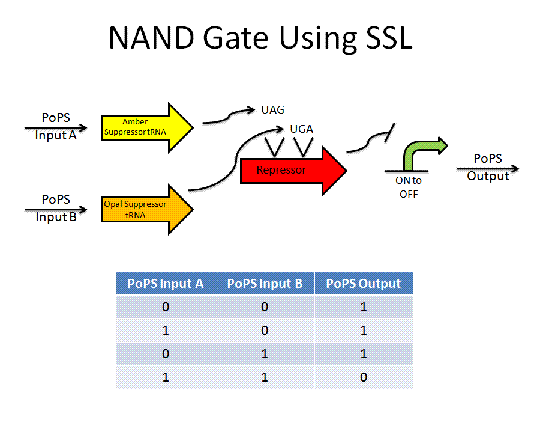 SSL NAND.GIF