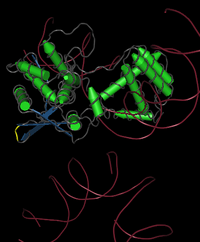 Cre recombinase monomer1.png