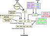 Diagram of pathway from Henderson and Dean, 2004