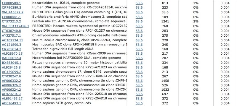 File:Virus35.jpg