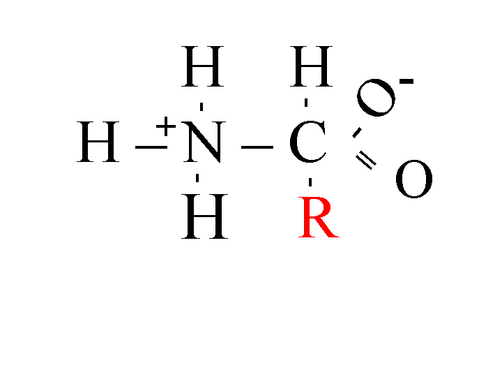 Ch2nh Lewis Structure